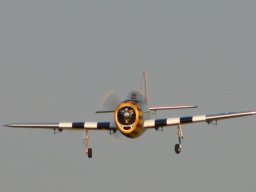 2007