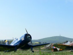 2007