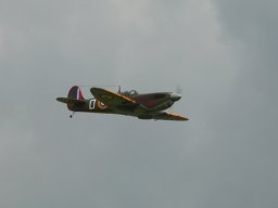 2007