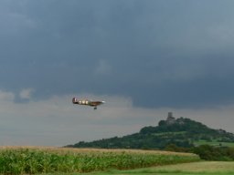 2007