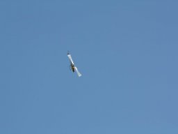 2013 Anfliegen