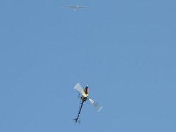 2013 Anfliegen