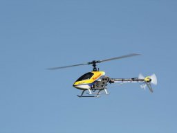 2013 Anfliegen