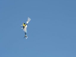 2013 Anfliegen