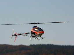 2013 Anfliegen