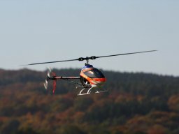 2013 Anfliegen