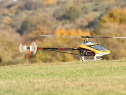 2013 Anfliegen