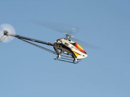 2013 Anfliegen