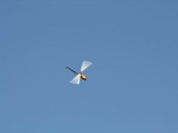 2013 Anfliegen
