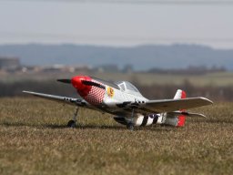 2013 Anfliegen