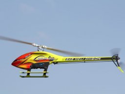 2013 Anfliegen