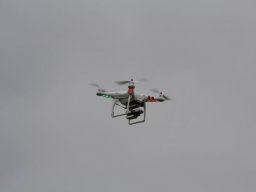 2013 Anfliegen