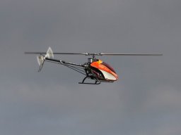 2013 Anfliegen