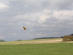 2013 Anfliegen