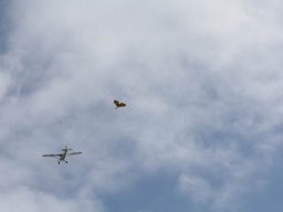2013 Anfliegen