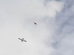 2013 Anfliegen