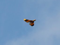 2013 Anfliegen
