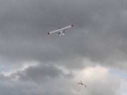 2013 Anfliegen