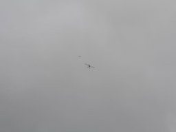 2013 Anfliegen