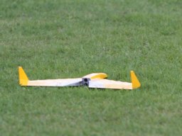 2013 Anfliegen