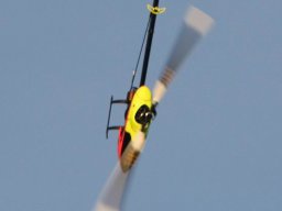 2013 Anfliegen
