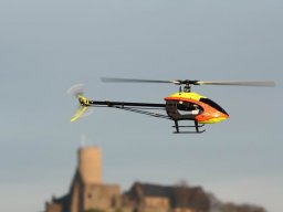 2013 Anfliegen
