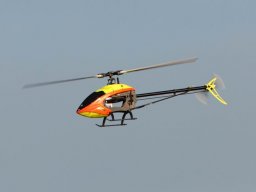 2013 Anfliegen