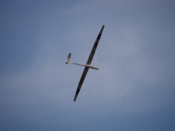 2015 Abfliegen
