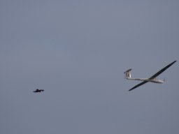 2015 Abfliegen