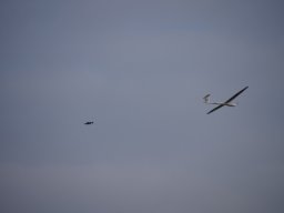 2015 Abfliegen