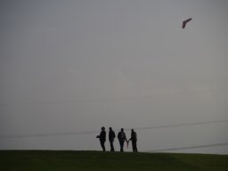 2015 Abfliegen