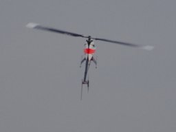 2015 Abfliegen