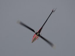 2015 Abfliegen