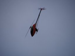 2015 Abfliegen