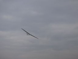 2015 Abfliegen