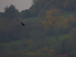 2015 Abfliegen