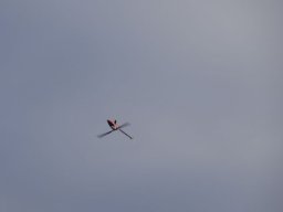 2015 Abfliegen