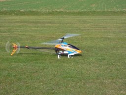 2015 Anfliegen