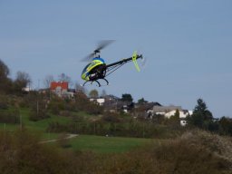 2015 Anfliegen