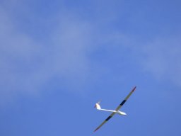 2015 Wurstfliegen