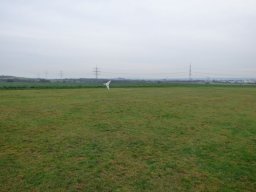 2015
