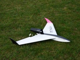 2016 Anfliegen