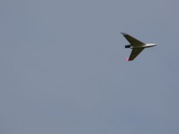 2016 Anfliegen
