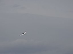 2016 Anfliegen