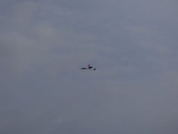 2016 Anfliegen
