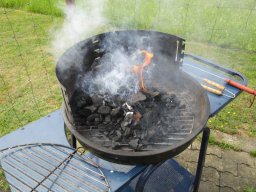 2016 Grillen