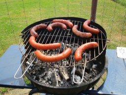 2016 Grillen