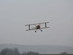 2016 Martins Bücker