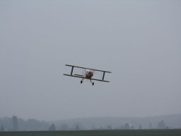 2016 Martins Bücker