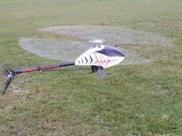 2017 Abfliegen